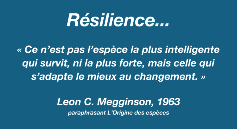Affiche de l’article Résilience