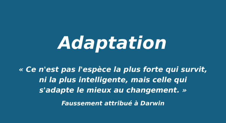 Affiche de l’article Adaptation